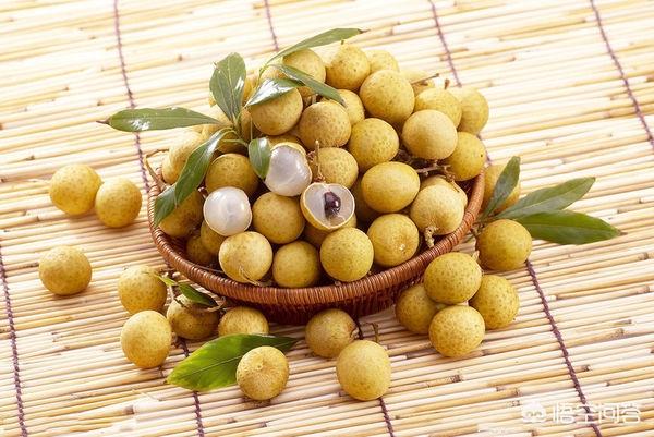 龙眼产地在哪里_云南龙眼产地在哪里