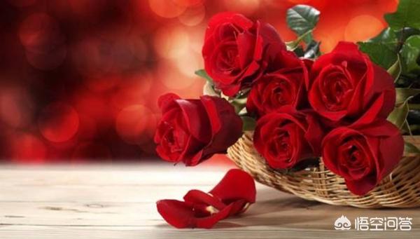 情人节玫瑰花价格一支_情人节的玫瑰多少钱一朵