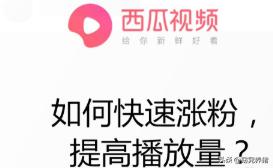 露天西瓜种植技术视频_西瓜露天栽培技术