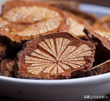 血藤图片_野生血藤图片