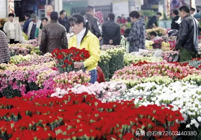 昆明鲜花批发app_昆明鲜花批发基地在哪里
