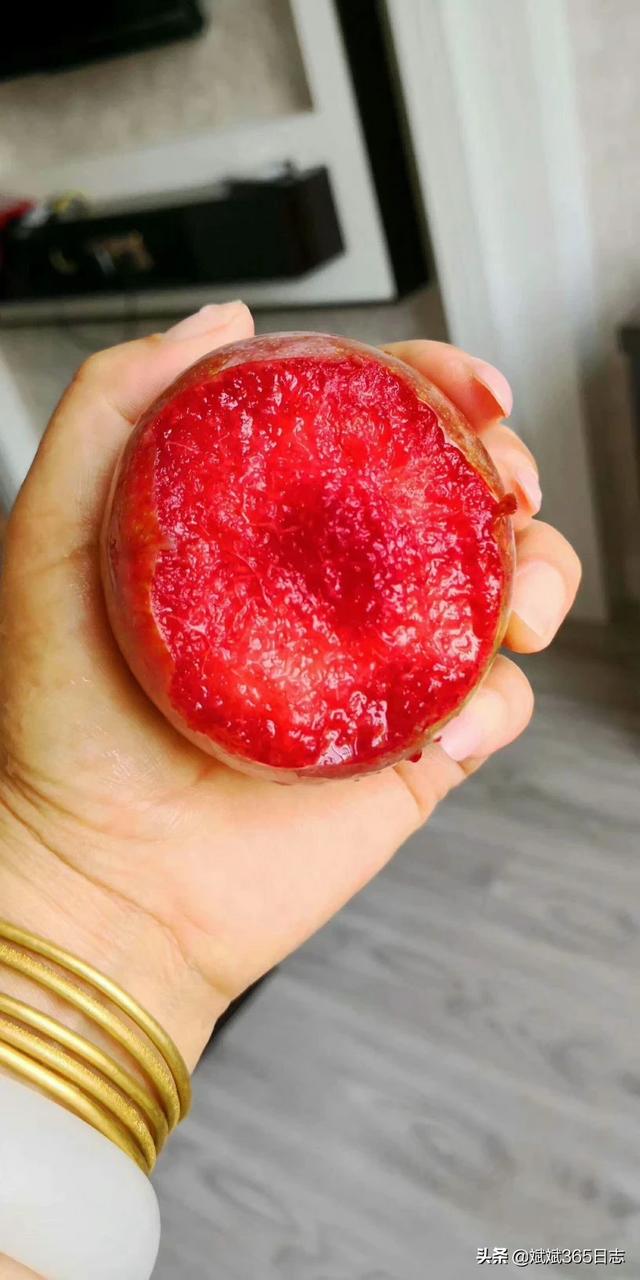 果树苗木网站_果树苗批发网站