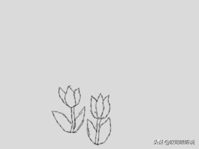 花的图片大全简笔画_花图片大全简笔画涂色