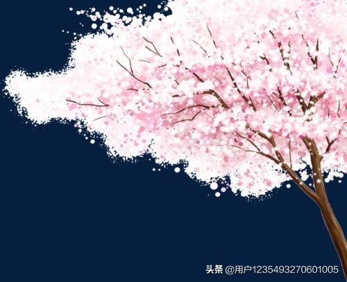 描写樱花的句子_描写樱花的句子 超优美50字