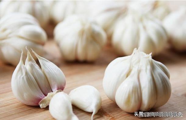 秋播大蒜栽培_秋播大蒜时间应在几月份收