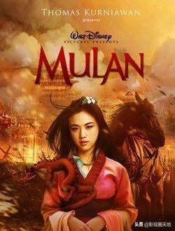 花木兰电视剧全集_花木兰电视连续剧在线观看