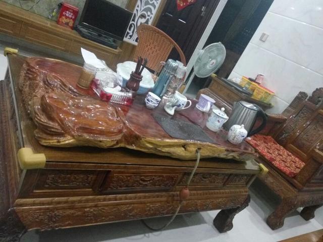 东北红豆杉价格_东北红豆杉树苗价格