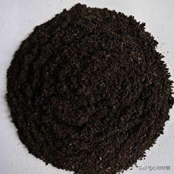 草炭土是什么东西_草炭土是什么东西合成的呢