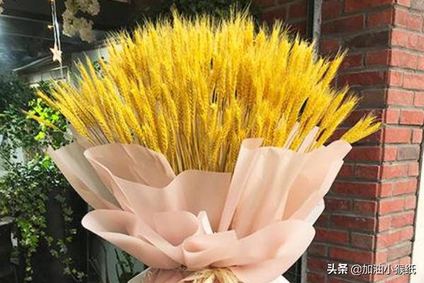 160元的大麦开业花篮_大麦开业花篮制作方法