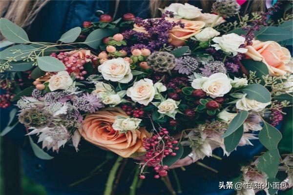 常见的花语大全（常见的十种花的花语）