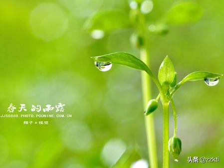 春天的诗句有哪些_写春天的绝美诗句