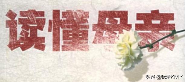 感恩母爱最朴实的句子_感恩母爱最朴实的句子300字