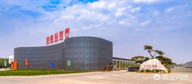 在西安买鲜花_在西安买鲜花的地方