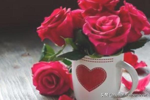 情人节送啥礼物给女友_情人节礼物送什么给女朋友