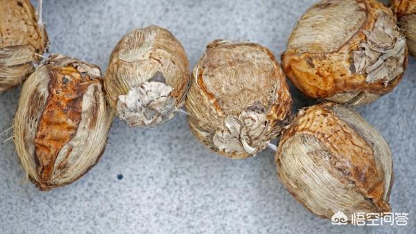 槟榔_槟榔为什么上瘾