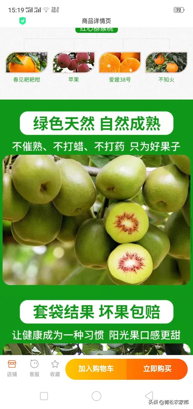 四川红心猕猴桃苗基地_四川红心猕猴桃苗批发