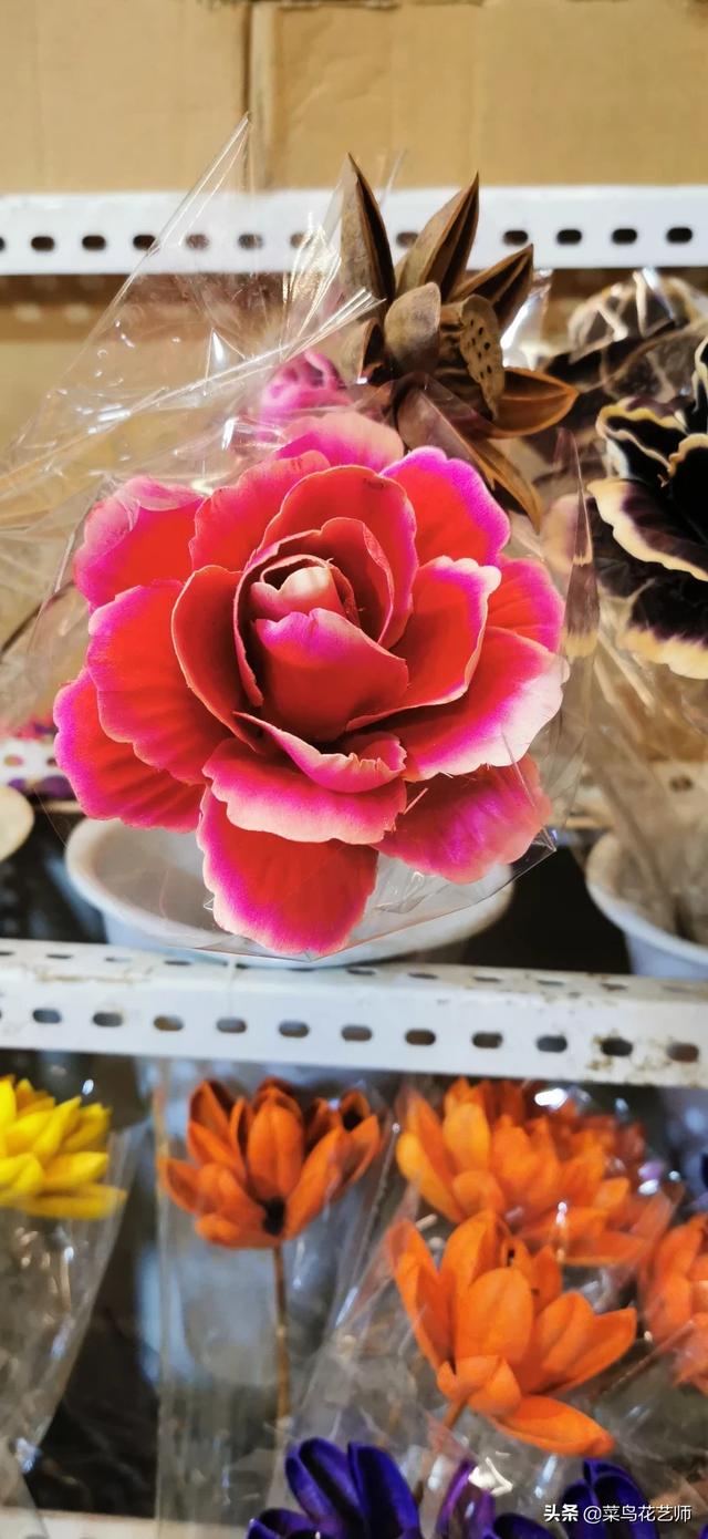 冬天有什么花图片大全_冬天有哪些花图片