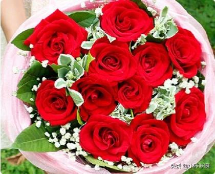 玫瑰花11支代表什么(11支玫瑰花什么意思)