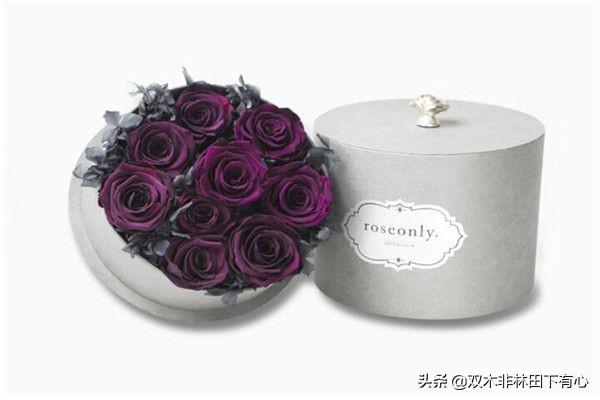 黑玫瑰是什么意思（黑玫瑰是什么花语）