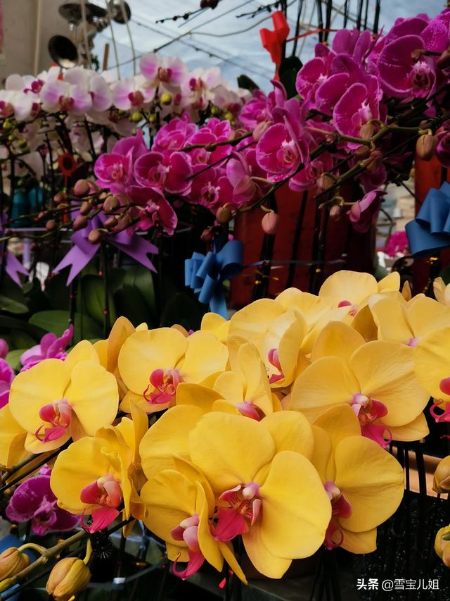 济南加盟鲜花店（加盟鲜花连锁店）