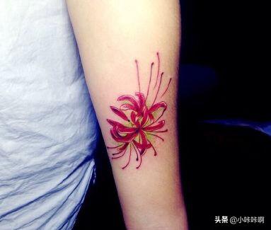 彼岸花纹身的寓意和象征（彼岸花纹身的寓意和象征风水）