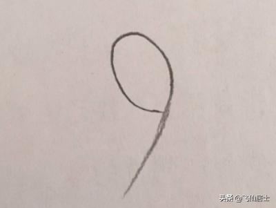 画玫瑰花 一朵（画玫瑰花 一朵怎么画）