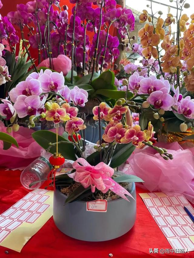 广东佛山鲜花店（佛山鲜花批发）