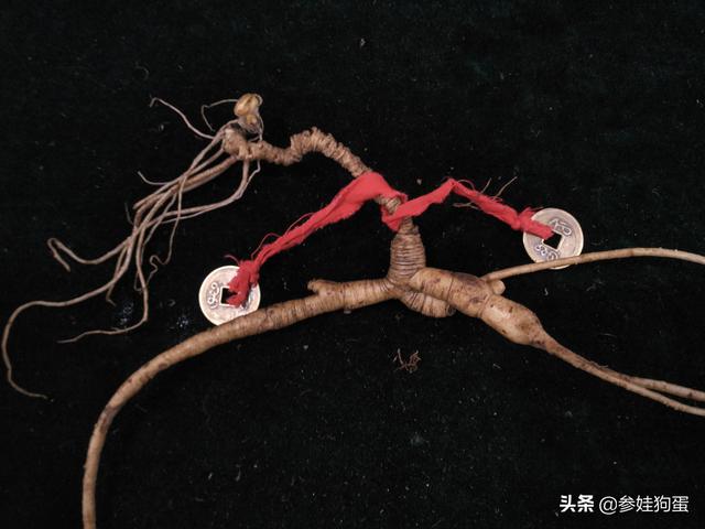 人参的功效与作用吃法（人参的功效与作用吃法和做法）