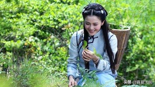 忍冬艳蔷薇电视剧_忍冬艳蔷薇电视剧全集完整版播放