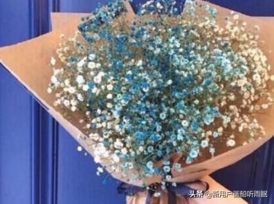 一般什么人会送满天星(有人送满天星什么意思)