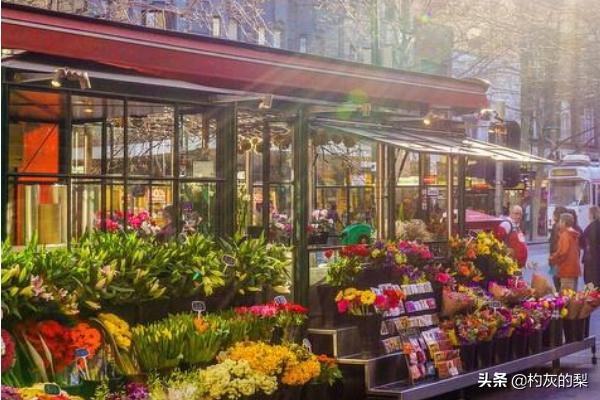 鲜花店挣钱(鲜花店挣钱吗)