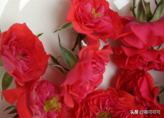 玫瑰花茶怎么制作_玫瑰花茶怎么制作成干花