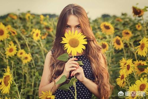 向日葵花语功效特点诗词(向日葵花语功效特点诗词怎么写)