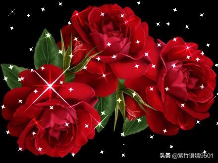 什么样的花语最浪漫（哪种花花语最浪漫）