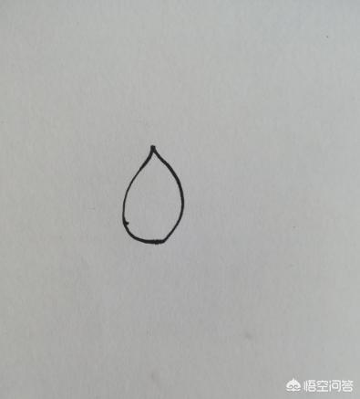 荷花图片简笔画彩色(荷花图片大全 高清简笔画 全景图)