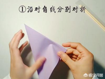 美丽的百合花(美丽的百合花英文)