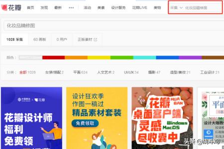 花瓣网官网 素材（花瓣网官网素材插画）