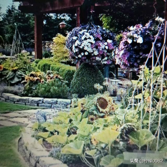 花境植物配置表（花境植物配置30种）