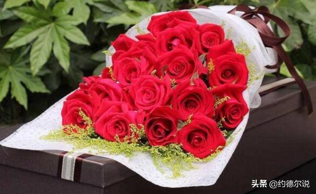 十九朵红玫瑰花的花语是什么