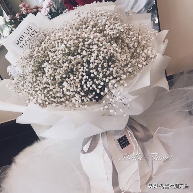 满天星的意思代表什么（满天星的意思代表什么意义）