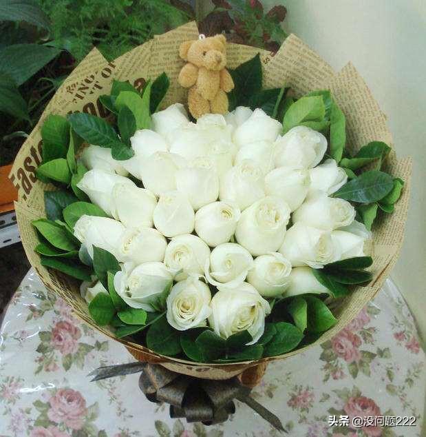 白玫瑰的花语是什么意思3朵(白玫瑰花语是什么意思它的含义是什么)